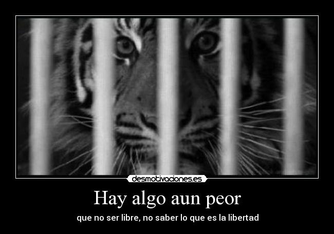 carteles sonrisaseverywhere dada compro mascara vendeta muajaja miren fotos tuenti desmotivaciones