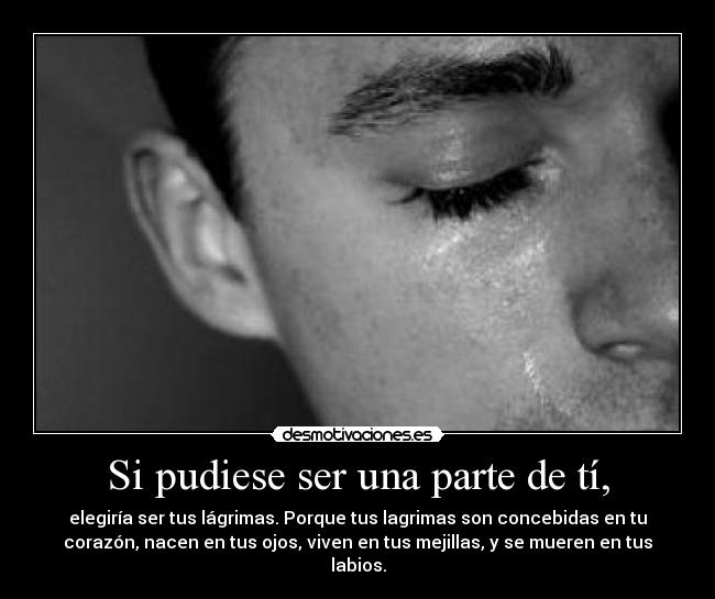 carteles lorenatrece desmotivaciones