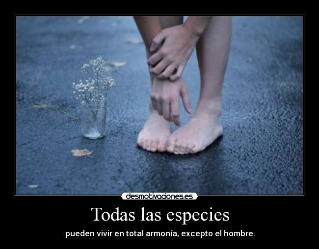 Todas las especies - pueden vivir en total armonía, excepto el hombre.