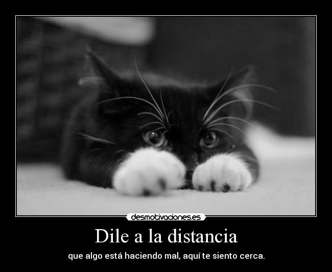 Dile a la distancia - 