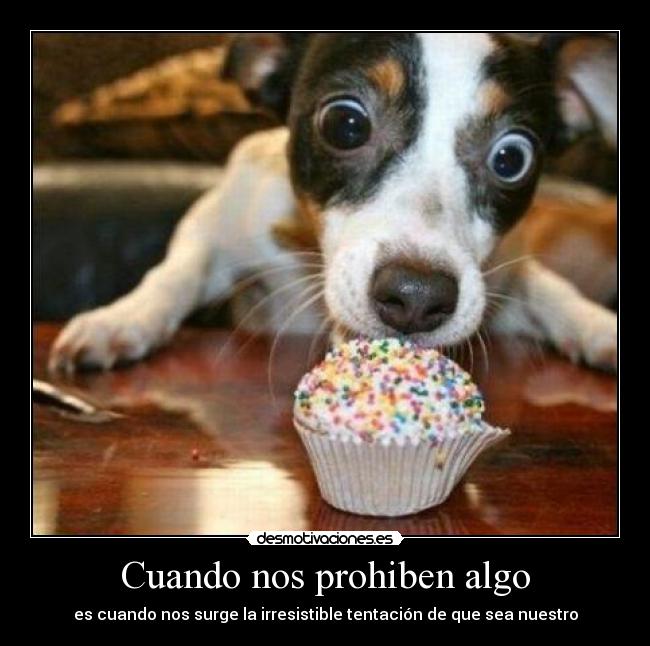 Cuando nos prohiben algo -