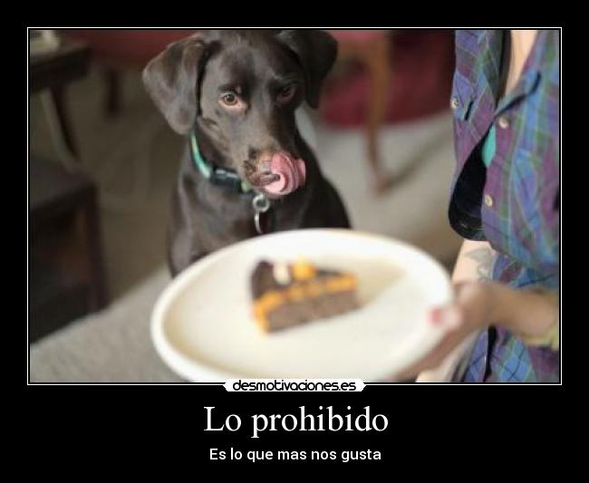 Lo prohibido -