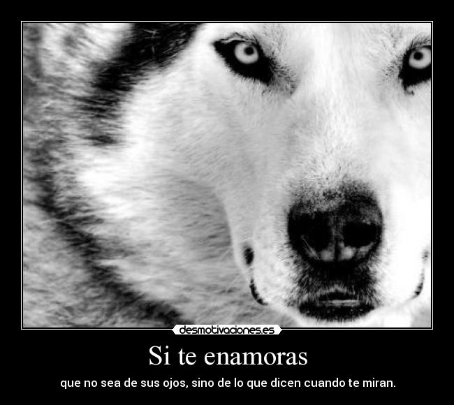 Si te enamoras - 