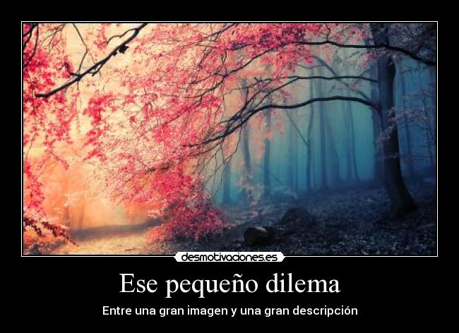 carteles imagenes bosques desmotivaciones