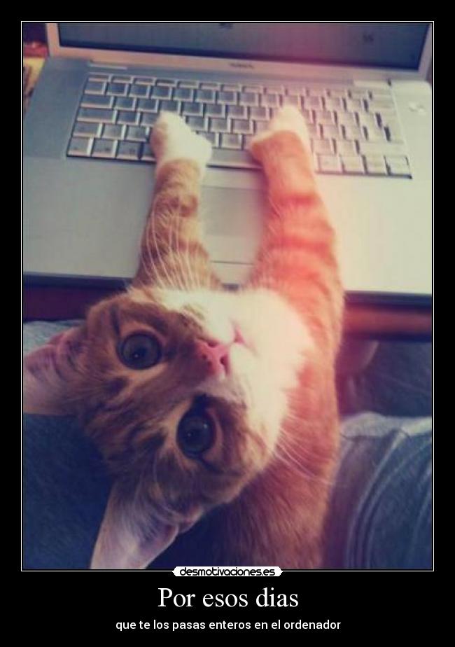 carteles elnegro desmotivaciones