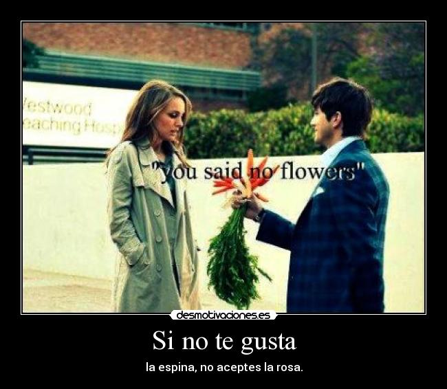 Si no te gusta - la espina, no aceptes la rosa.