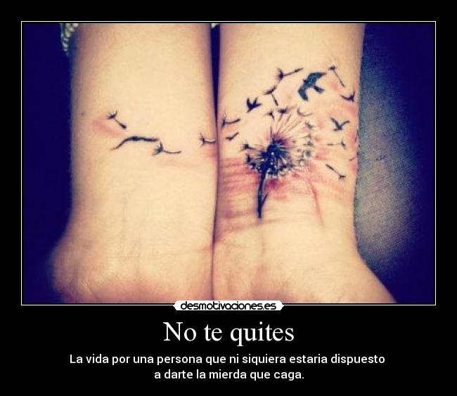No te quites -