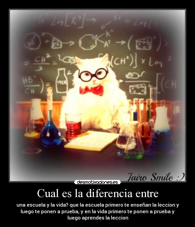 Cual es la diferencia entre - una escuela y la vida? que la escuela primero te enseñan la leccion y
luego te ponen a prueba, y en la vida primero te ponen a prueba y
luego aprendes la leccion