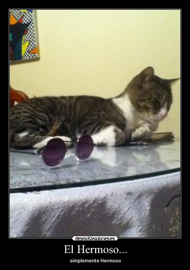 carteles hermoso desmotivaciones