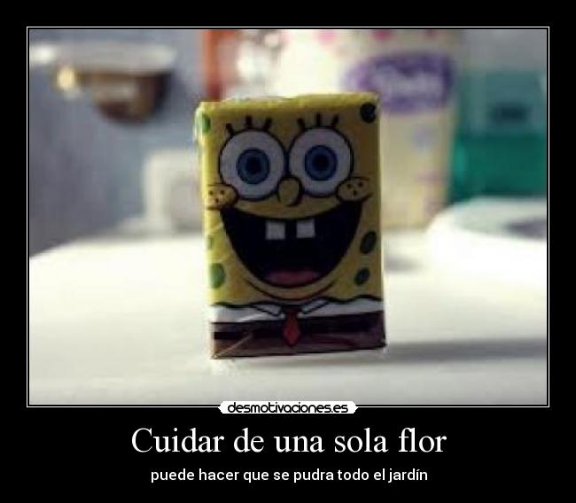 Cuidar de una sola flor -