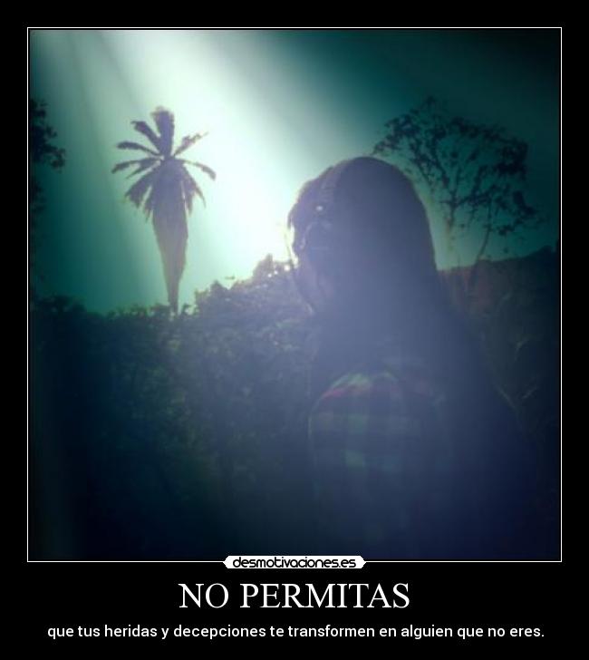 NO PERMITAS - 