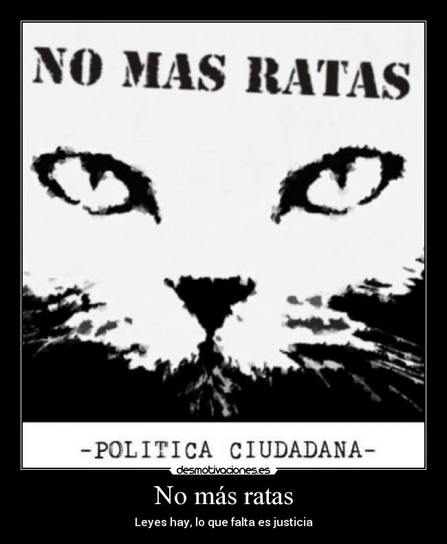 No más ratas - 