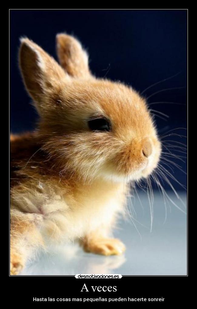 A veces - Hasta las cosas mas pequeñas pueden hacerte sonreir