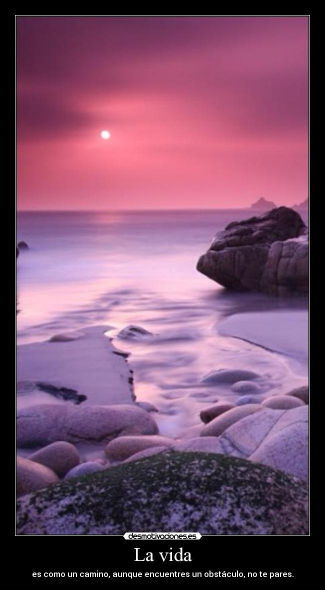 carteles vida fhffh desmotivaciones