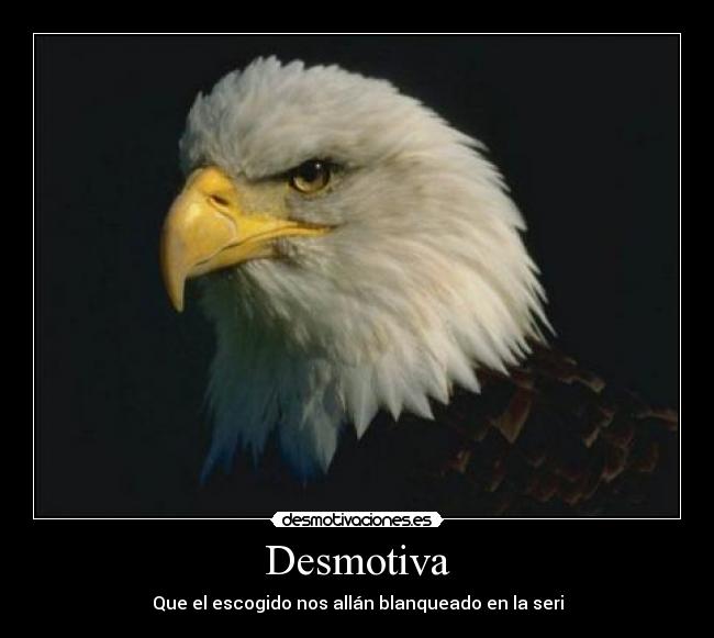 carteles esmil perez desmotivaciones