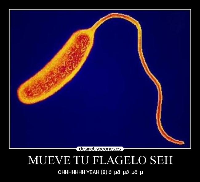 carteles tags pueden contener solamente simbolos alfanumericos desmotivaciones