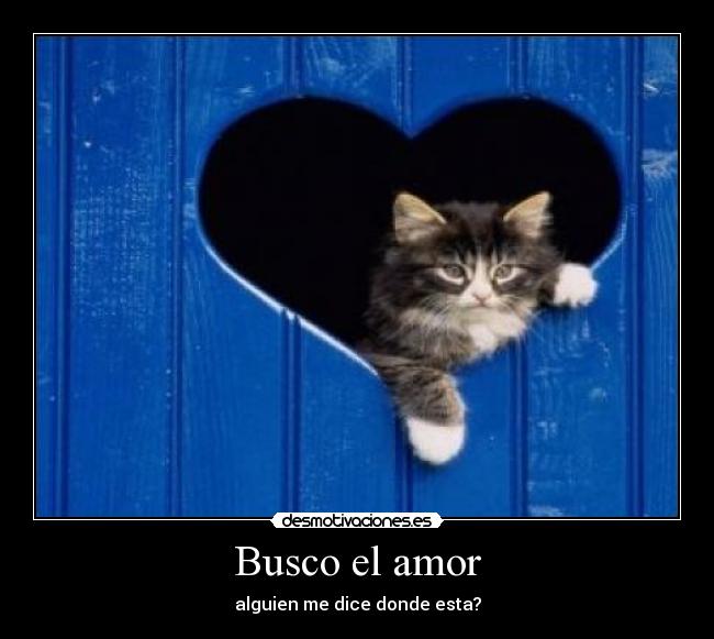 Busco el amor - 