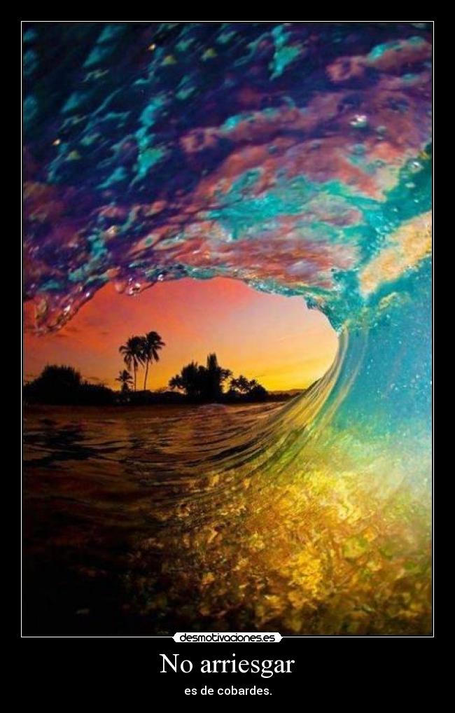 No arriesgar - es de cobardes.