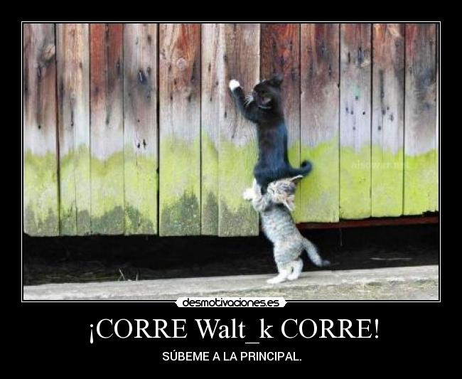 ¡CORRE Walt_k CORRE! - SÚBEME A LA PRINCIPAL.