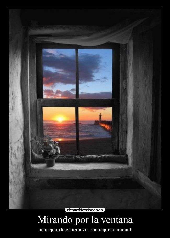 Mirando por la ventana - 
