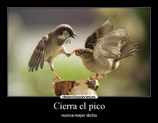 Cierra el pico - 