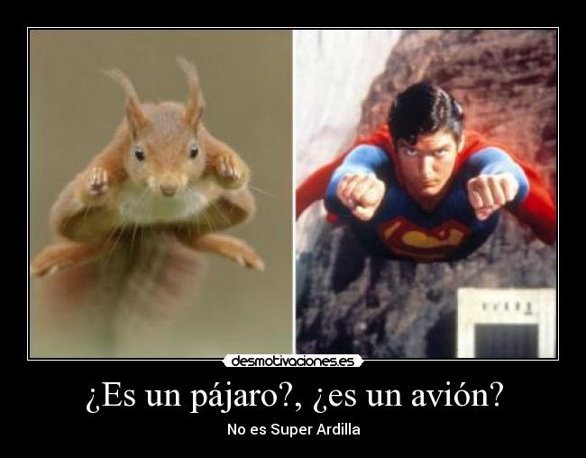 ¿Es un pájaro?, ¿es un avión? - No es Super Ardilla