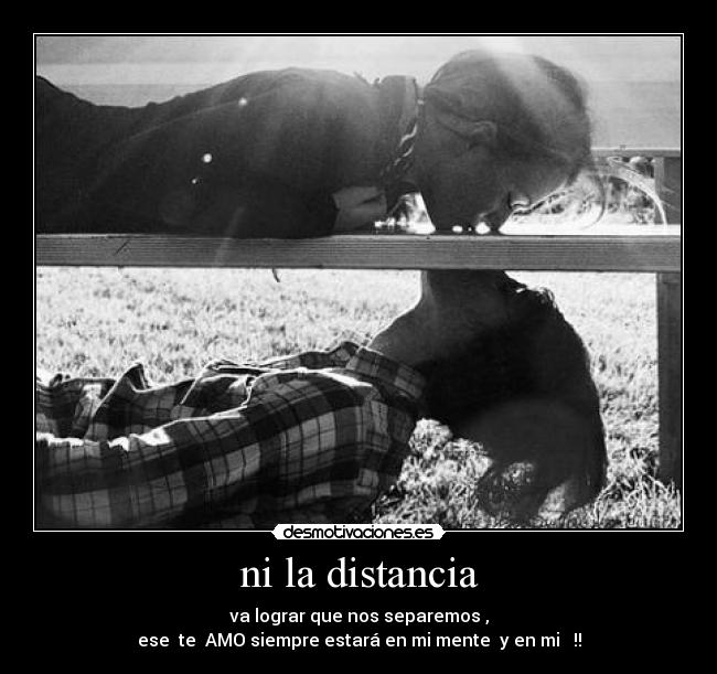 carteles distancia distancia desmotivaciones