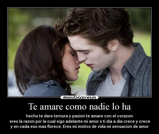 Te amare como nadie lo ha - 