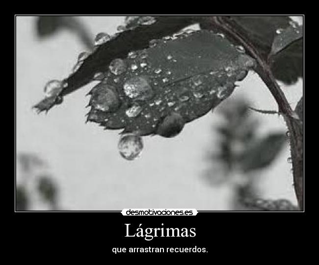 Lágrimas -