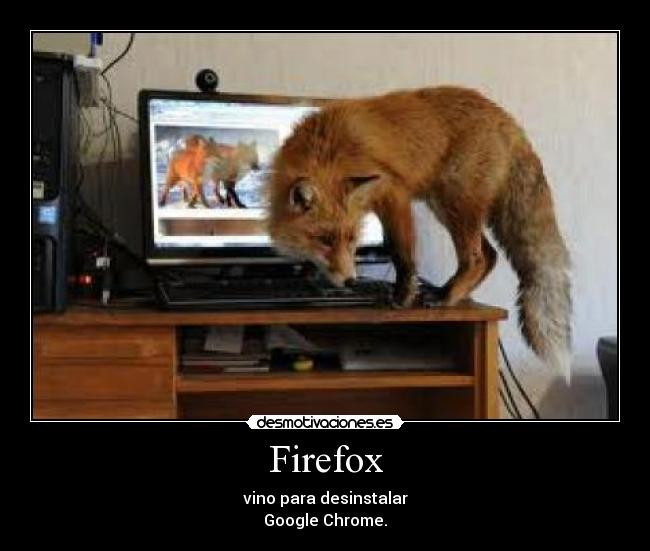 Firefox - 