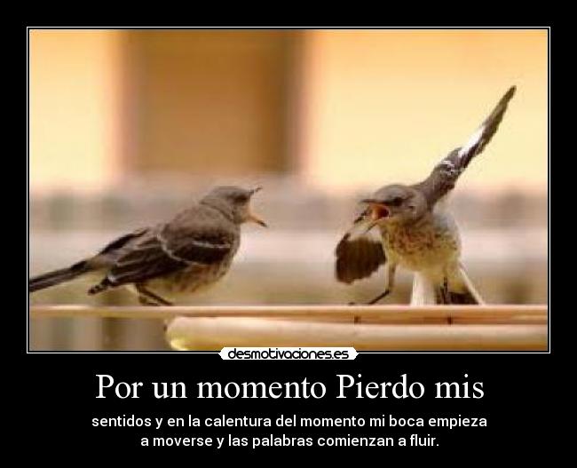 Por un momento Pierdo mis - 