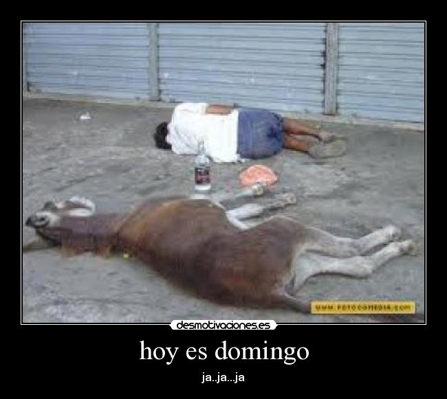 hoy es domingo - ja..ja...ja