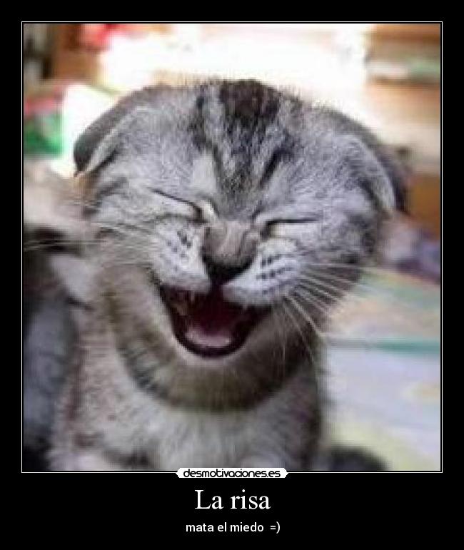 La risa - mata el miedo =)