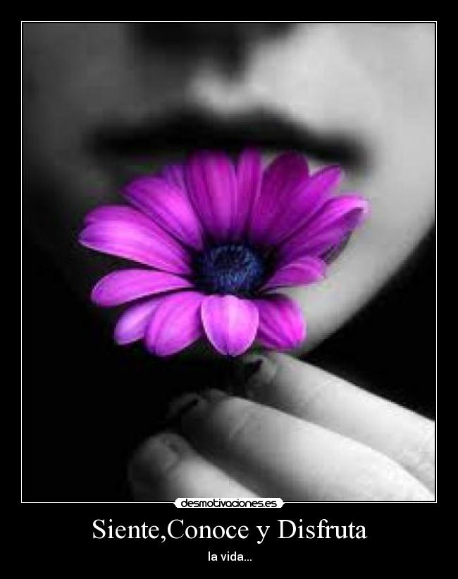 carteles helemvm desmotivaciones