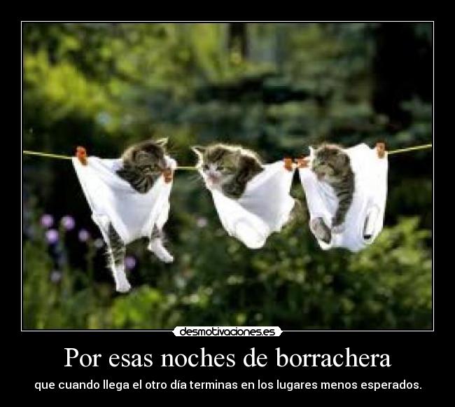 Por esas noches de borrachera -