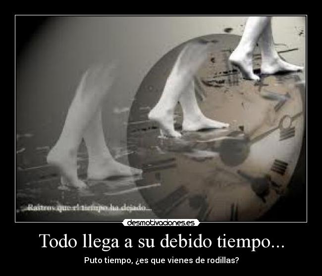 Todo llega a su debido tiempo... - 