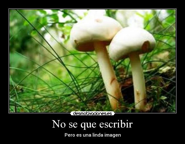 No se que escribir - Pero es una linda imagen