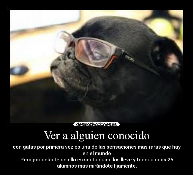Ver a alguien conocido - con gafas por primera vez es una de las sensaciones mas raras que hay
en el mundo
Pero por delante de ella es ser tu quien las lleve y tener a unos 25
alumnos mas mirándote fijamente.