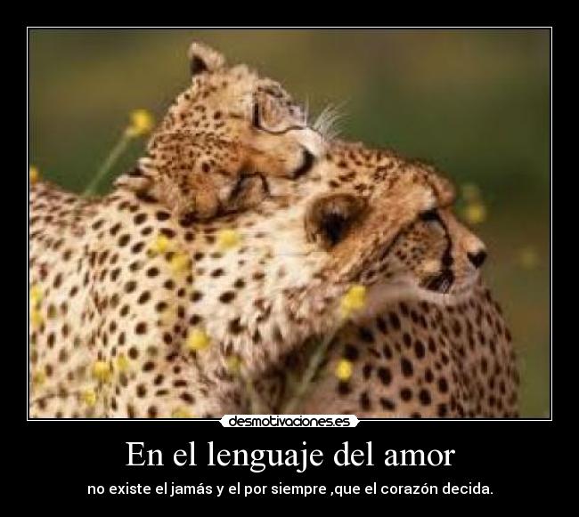 En el lenguaje del amor -