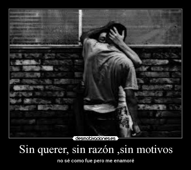 Sin querer, sin razón ,sin motivos - no sé como fue pero me enamoré