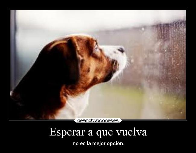 Esperar a que vuelva -