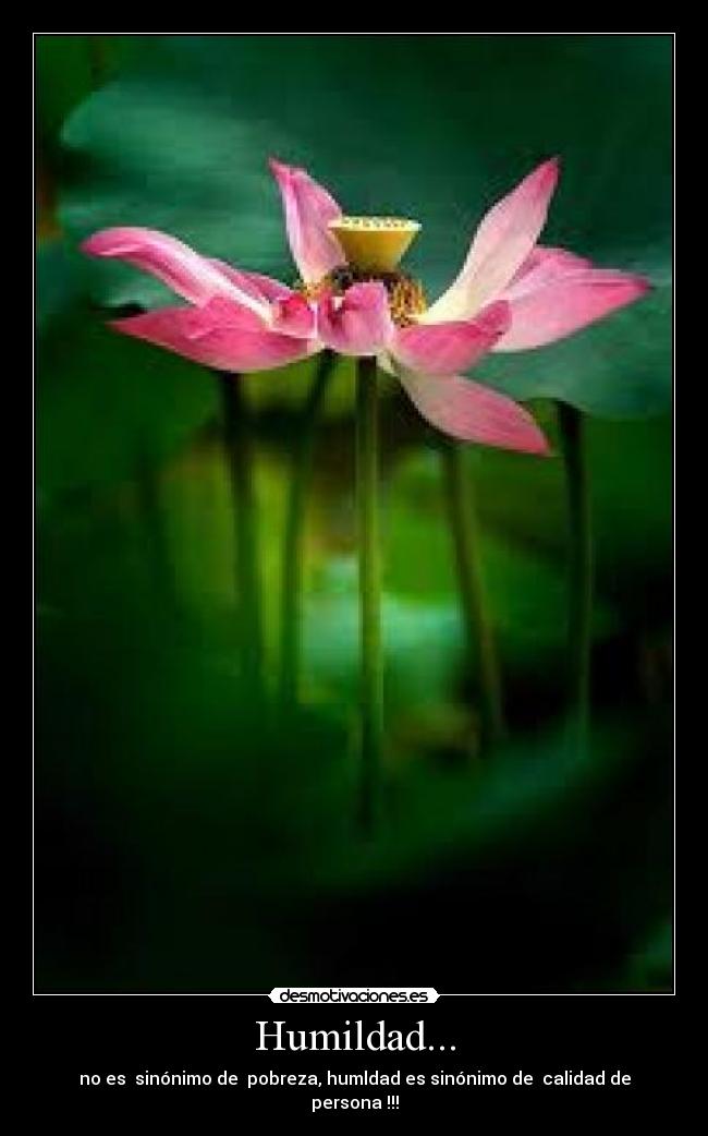 Humildad... -