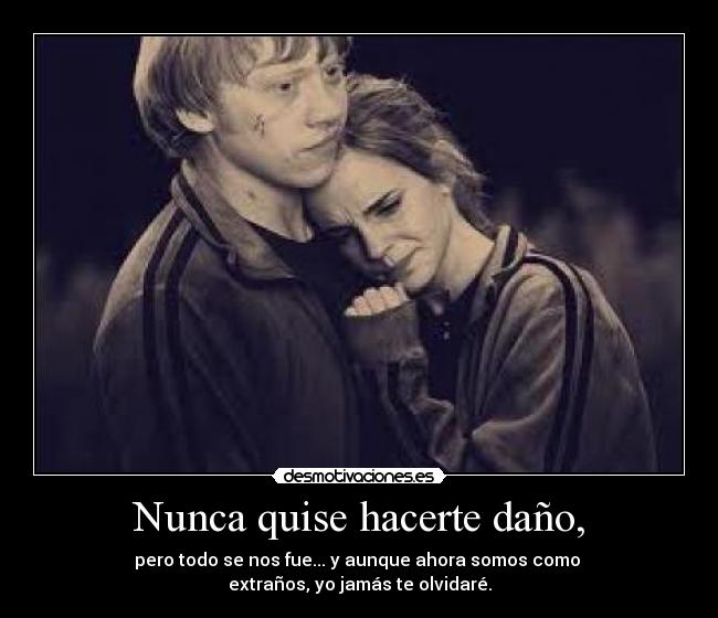 Nunca quise hacerte daño, -