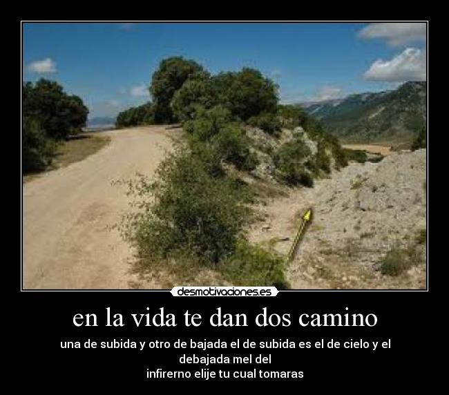 carteles vida vida desmotivaciones