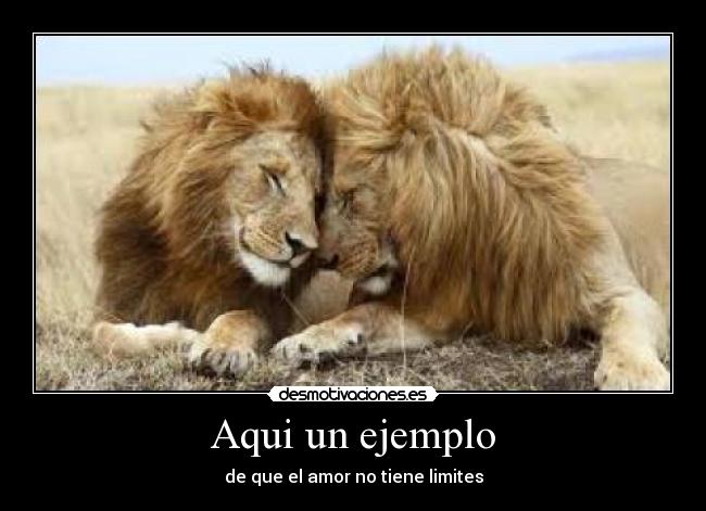 Aqui un ejemplo - de que el amor no tiene limites