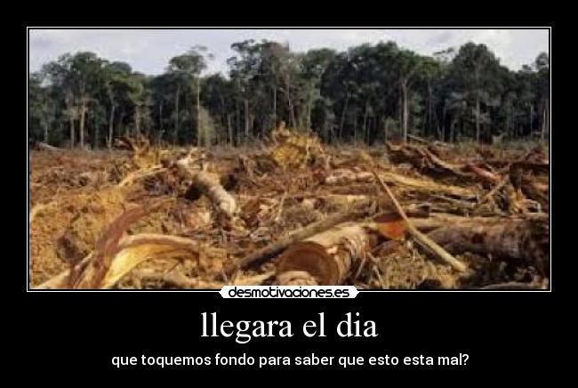 llegara el dia - que toquemos fondo para saber que esto esta mal?