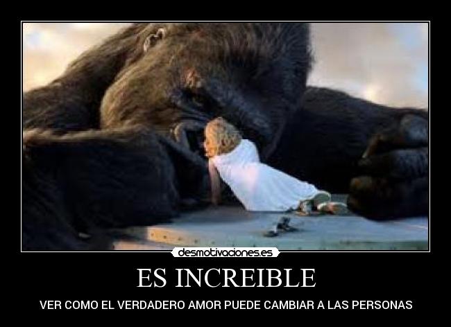 ES INCREIBLE -