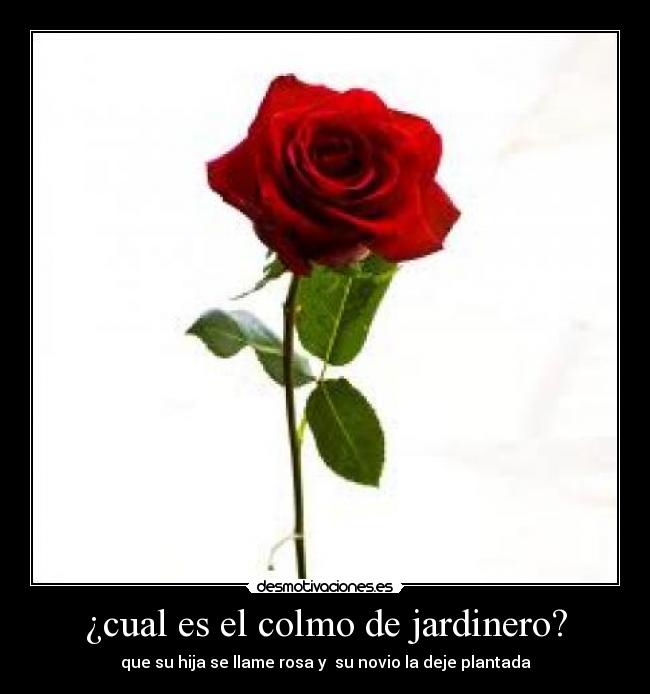 ¿cual es el colmo de jardinero? - que su hija se llame rosa y  su novio la deje plantada