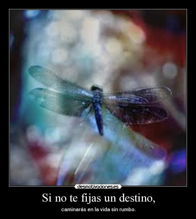 Si no te fijas un destino, - caminarás en la vida sin rumbo.