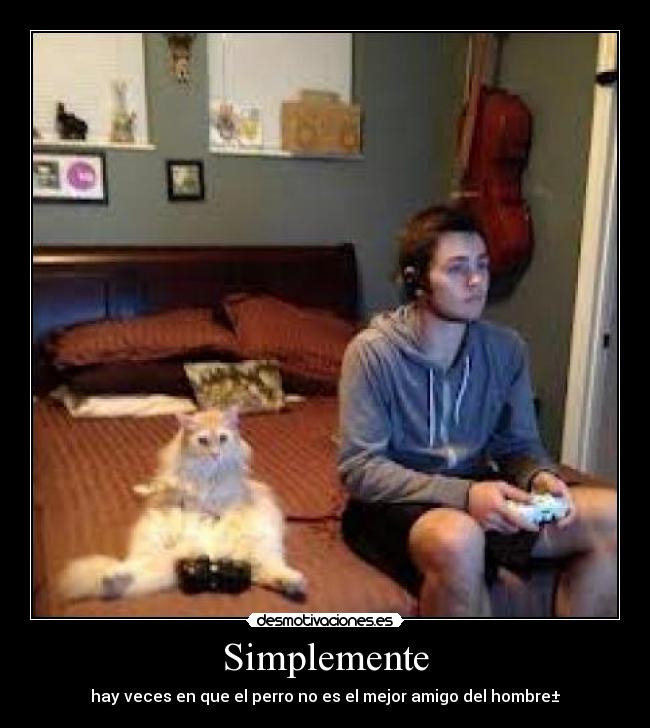 Simplemente - hay veces en que el perro no es el mejor amigo del hombre±